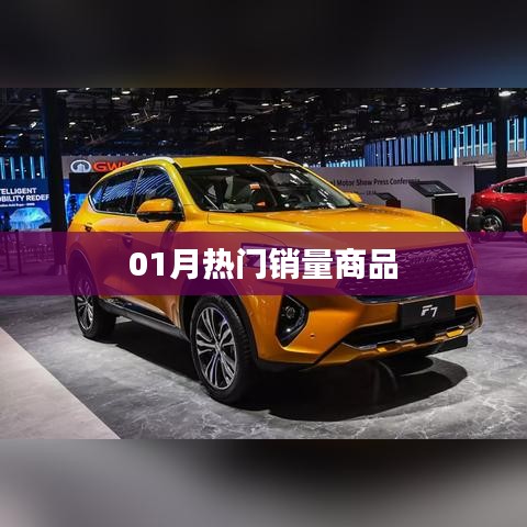 01月热门销量商品大盘点