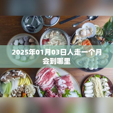 未来预测，人走一个月会去哪里？以2025年为例