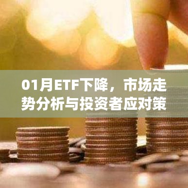 ETF市场走势分析，投资者如何应对一月份下降态势