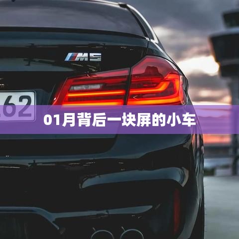 成功案例 第61页
