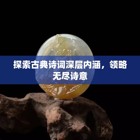 探索古典诗词深层内涵，领略无尽诗意