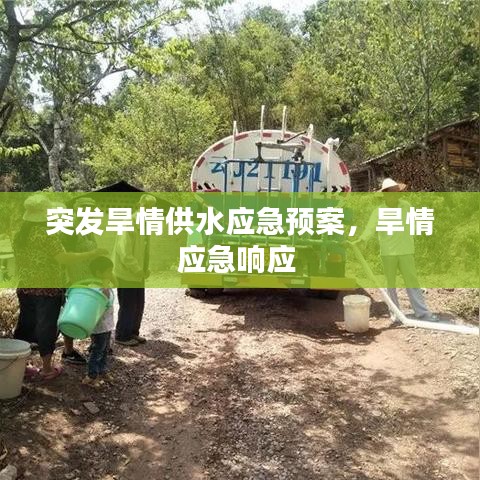 突发旱情供水应急预案，旱情应急响应 