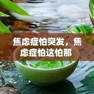 关于我们 第57页