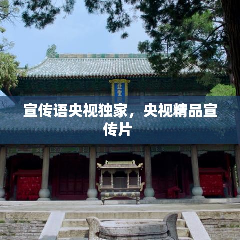 宣传语央视独家，央视精品宣传片 