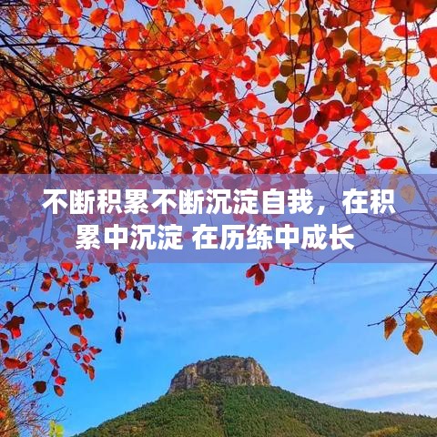 不断积累不断沉淀自我，在积累中沉淀 在历练中成长 