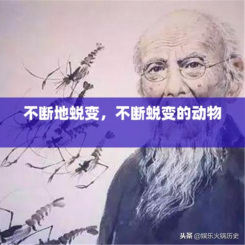 不断地蜕变，不断蜕变的动物 