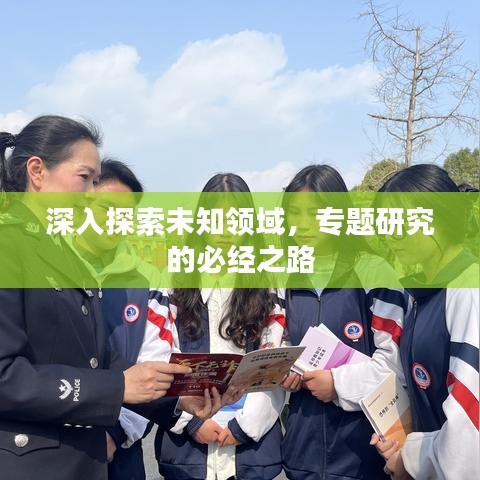 深入探索未知领域，专题研究的必经之路