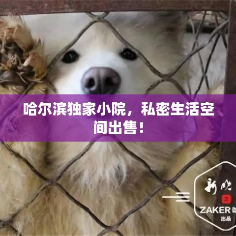 哈尔滨独家小院，私密生活空间出售！