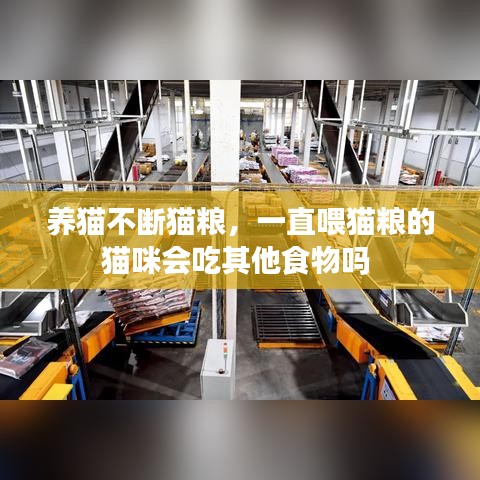 养猫不断猫粮，一直喂猫粮的猫咪会吃其他食物吗 