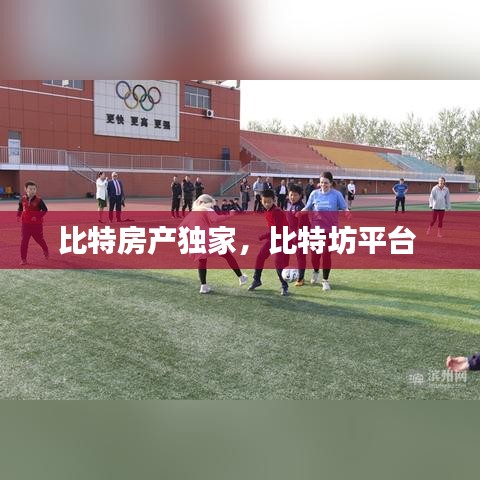 比特房产独家，比特坊平台 