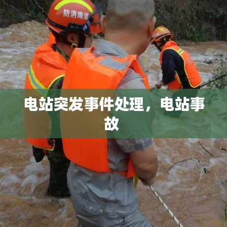 电站突发事件处理，电站事故 