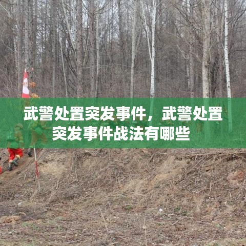 武警处置突发事件，武警处置突发事件战法有哪些 