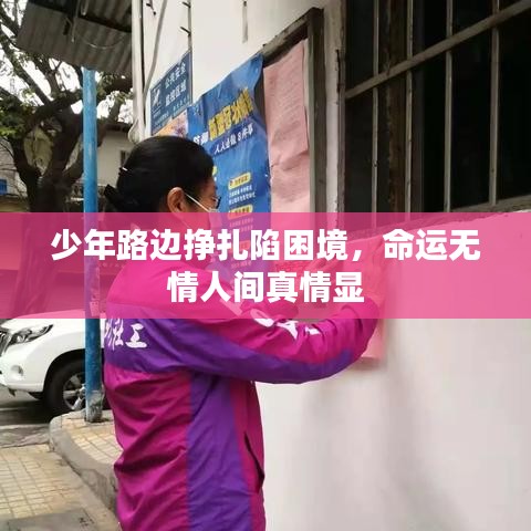 少年路边挣扎陷困境，命运无情人间真情显