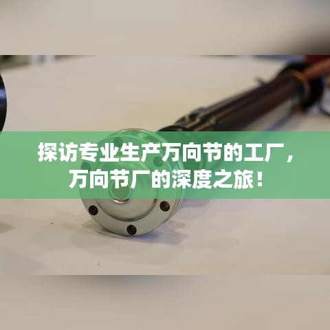 成功案例 第53页