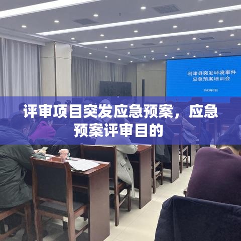 评审项目突发应急预案，应急预案评审目的 