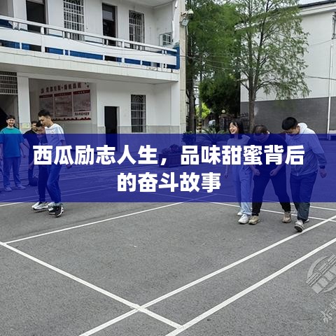 西瓜励志人生，品味甜蜜背后的奋斗故事