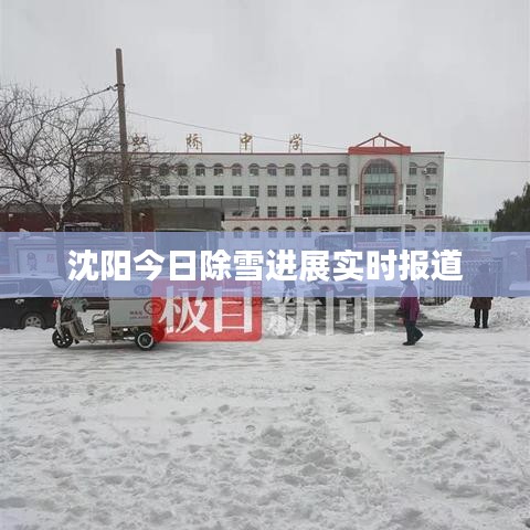 沈阳今日除雪进展实时报道