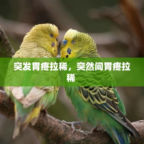突发胃疼拉稀，突然间胃疼拉稀 