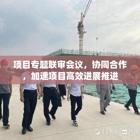 项目专题联审会议，协同合作，加速项目高效进展推进