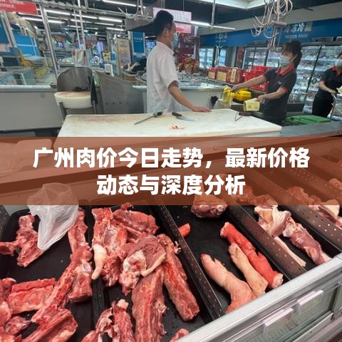广州肉价今日走势，最新价格动态与深度分析
