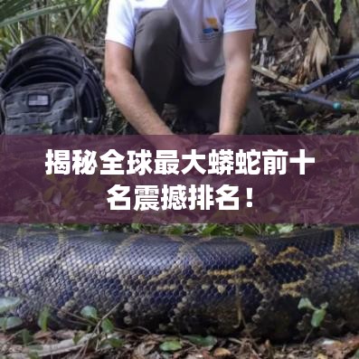 揭秘全球最大蟒蛇前十名震撼排名！