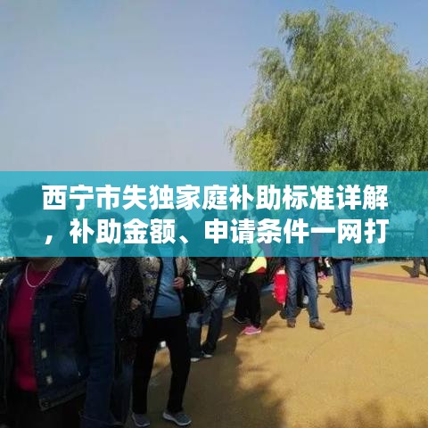 西宁市失独家庭补助标准详解，补助金额、申请条件一网打尽！