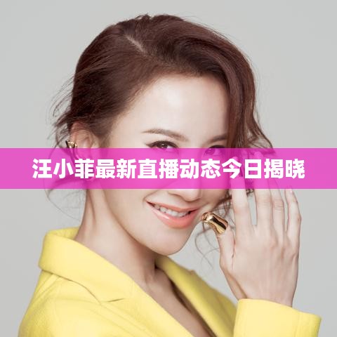汪小菲最新直播动态今日揭晓