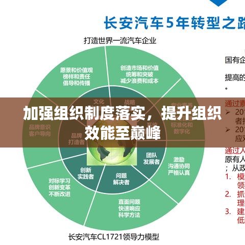 加强组织制度落实，提升组织效能至巅峰