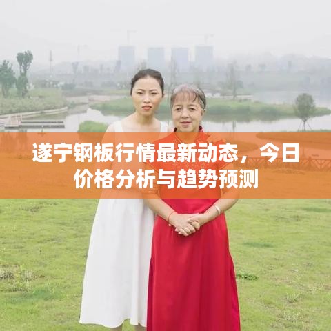遂宁钢板行情最新动态，今日价格分析与趋势预测