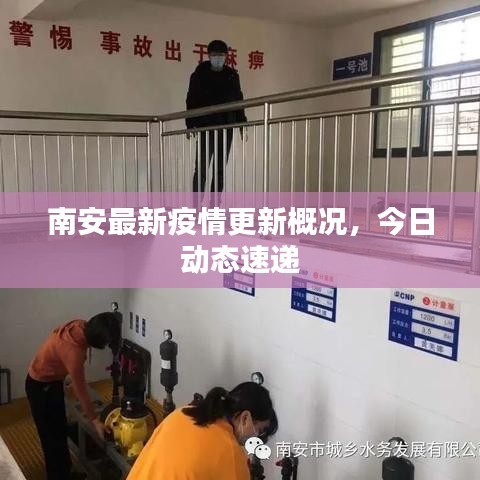 南安最新疫情更新概况，今日动态速递