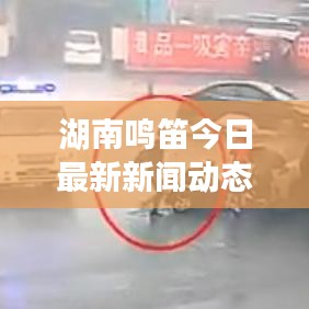 湖南鸣笛今日最新新闻动态速递