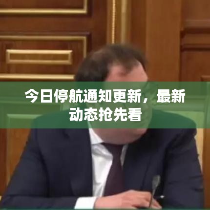 今日停航通知更新，最新动态抢先看