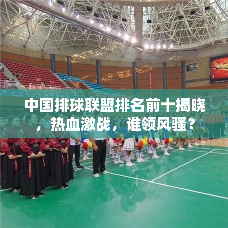 中国排球联盟排名前十揭晓，热血激战，谁领风骚？