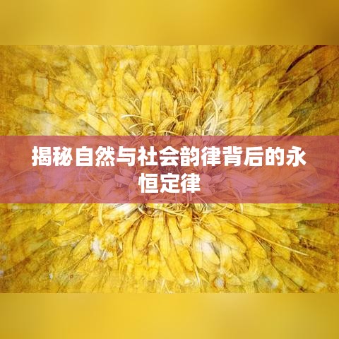 揭秘自然与社会韵律背后的永恒定律