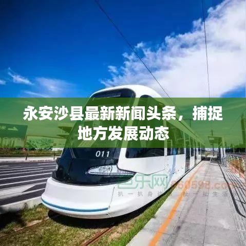 永安沙县最新新闻头条，捕捉地方发展动态