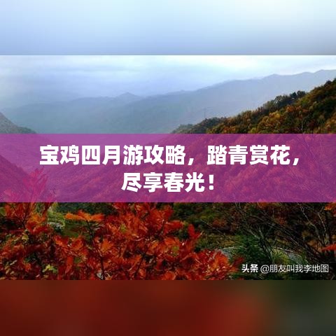 宝鸡四月游攻略，踏青赏花，尽享春光！