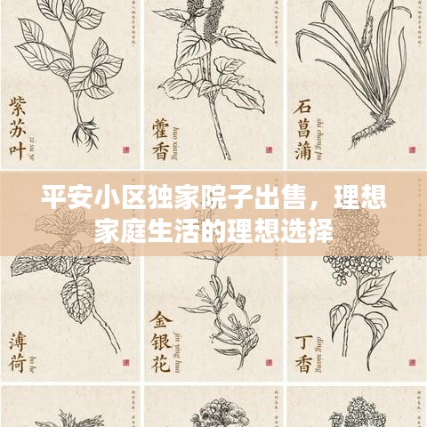 平安小区独家院子出售，理想家庭生活的理想选择