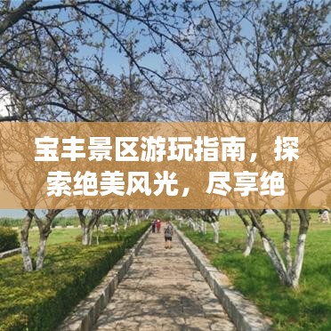 宝丰景区游玩指南，探索绝美风光，尽享绝佳体验！