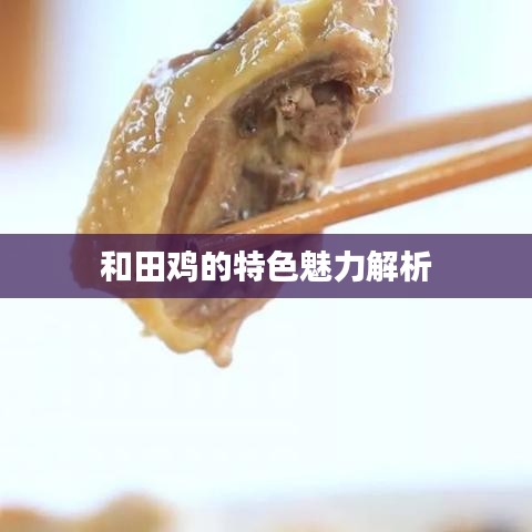 和田鸡的特色魅力解析
