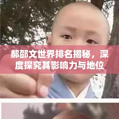 郝邵文世界排名揭秘，深度探究其影响力与地位