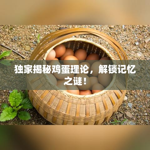 独家揭秘鸡蛋理论，解锁记忆之谜！