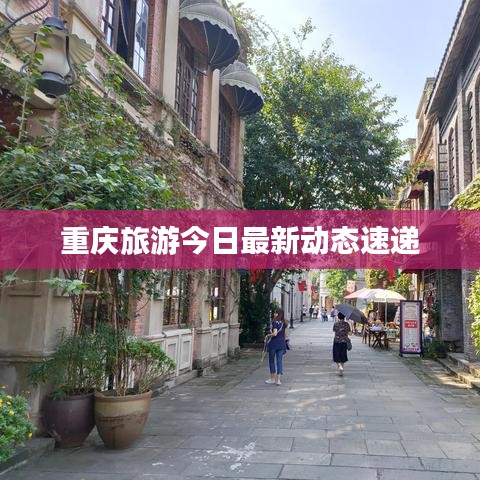 重庆旅游今日最新动态速递