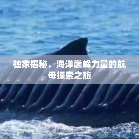 飞墙走壁 第2页
