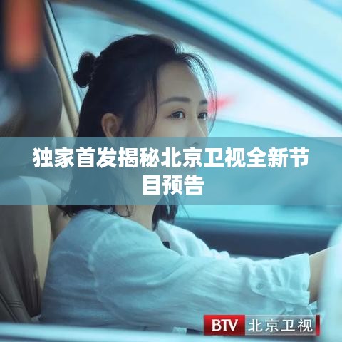 口若悬河 第2页