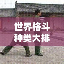 世界格斗种类大排名，谁主沉浮？搏击巅峰之战揭秘！
