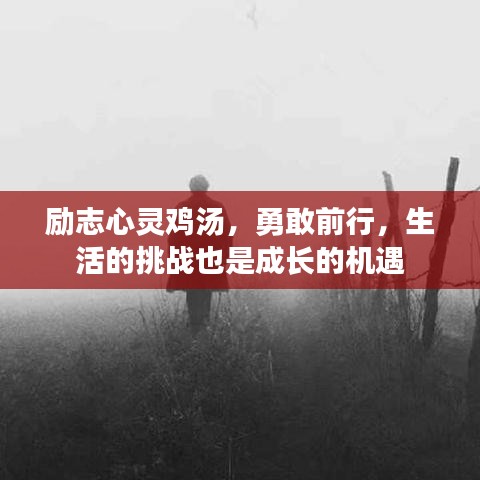 励志心灵鸡汤，勇敢前行，生活的挑战也是成长的机遇