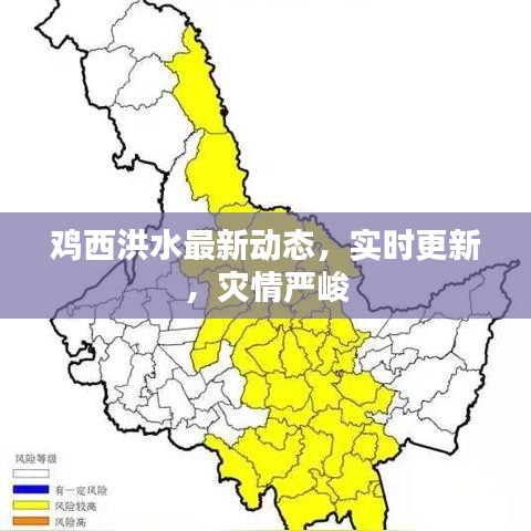 鸡西洪水最新动态，实时更新，灾情严峻
