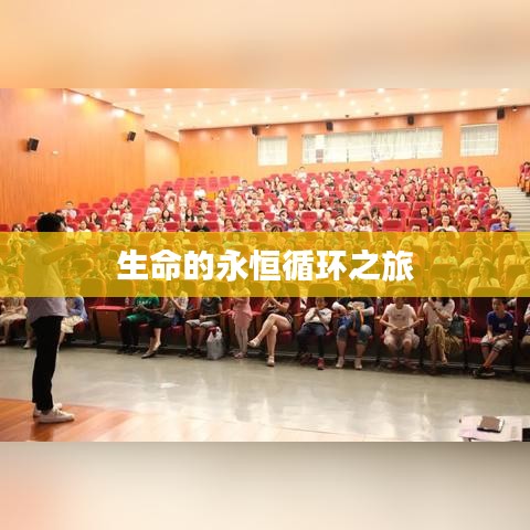 生命的永恒循环之旅