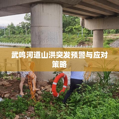武鸣河道山洪突发预警与应对策略
