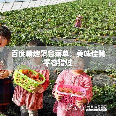 百度精选聚会菜单，美味佳肴不容错过